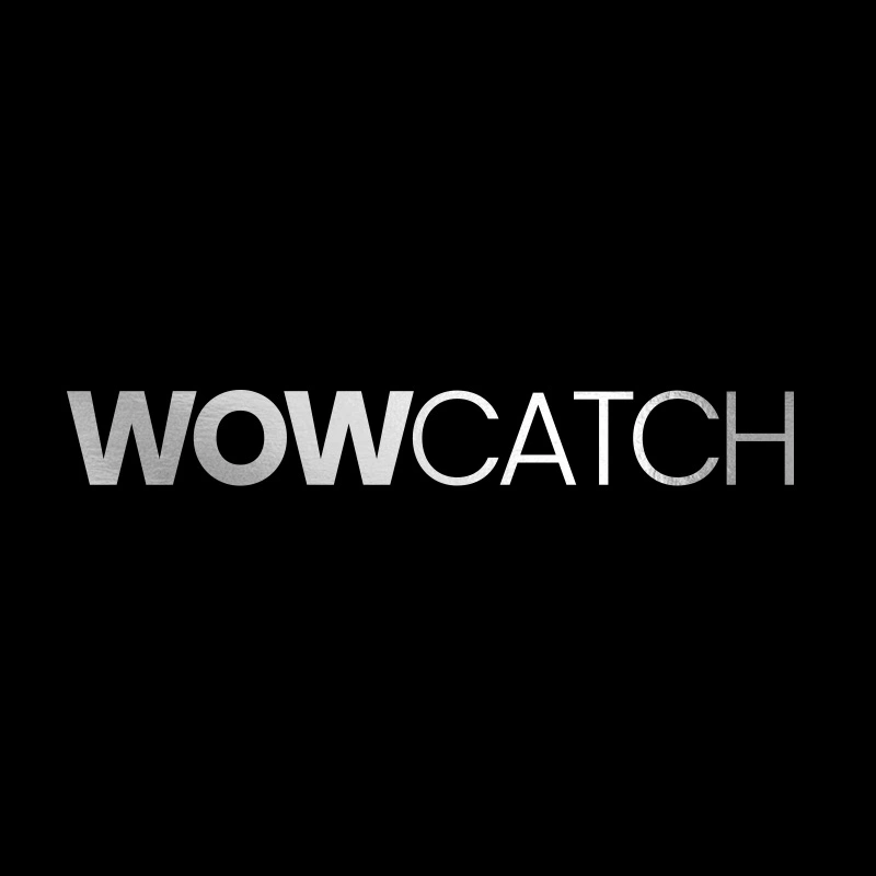 WowCatch Logo JPG