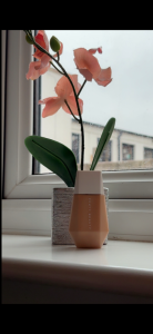IMG 7857