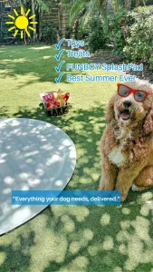 Piper BarkBox UGC
